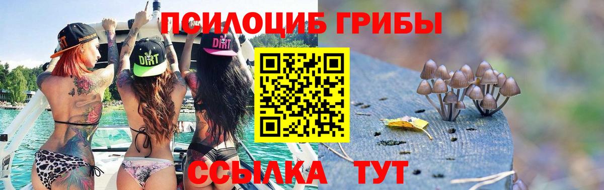 где продают наркотики  Вход с VPN  Надым  Галлюциногенные грибы MAGIC MUSHROOMS 