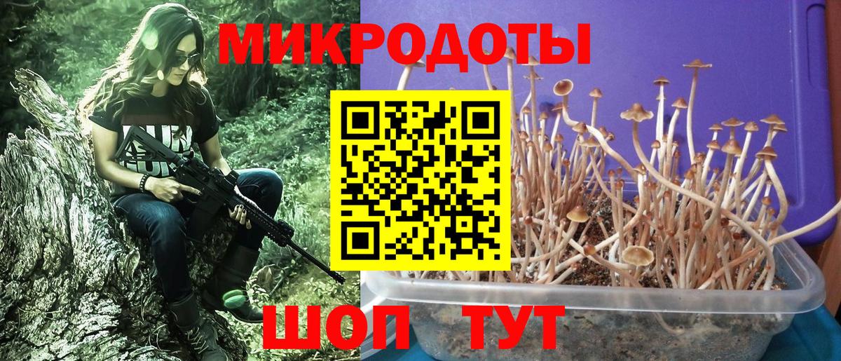Галлюциногенные грибы мицелий Надым